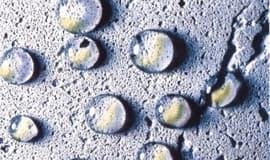 Противоморозные добавки в бетон