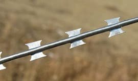 Нить АКЛ/ АСКЛ